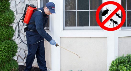 Ağrı Hamam Böceği İlaçlama böcek ilaçlama ve haşere kontrolü — ilaclama-tr.com